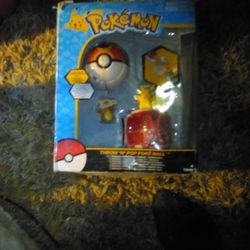 Pokemon 