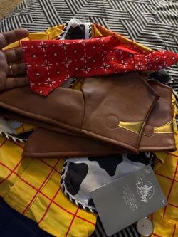 Brand new  Disney costume WOODY