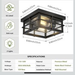 New Black 2 Light Ceiling Fixture 