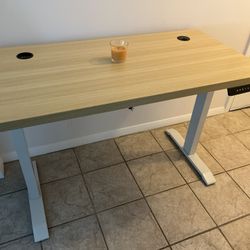 Adjustable Sit/Stand Desk