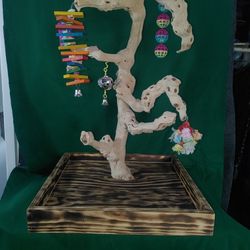 Bird Perches On A Vase With Wheels Made Of Natural Driftwood