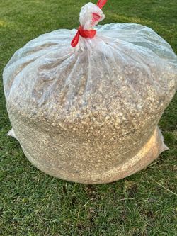 Saw Dust/ Acerrin (Natural)