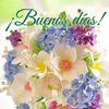 Rosalba