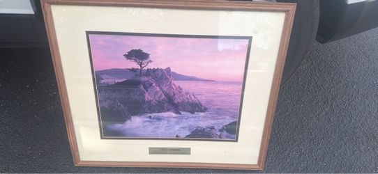Vintage loan Cypress photograph by John GRONERT in a wood frame Red description
