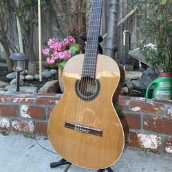 Alhambra 1C Classical Guitar