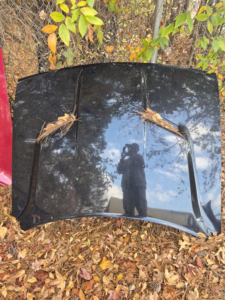 2018 Dodge Challenger Hood For Sale