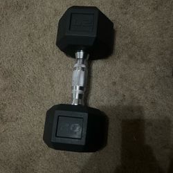 20lb Dumbbell 
