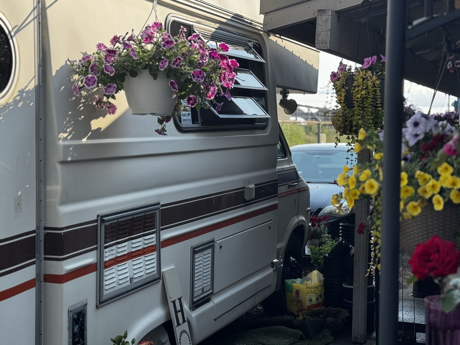 1977 Dodge American Clipper