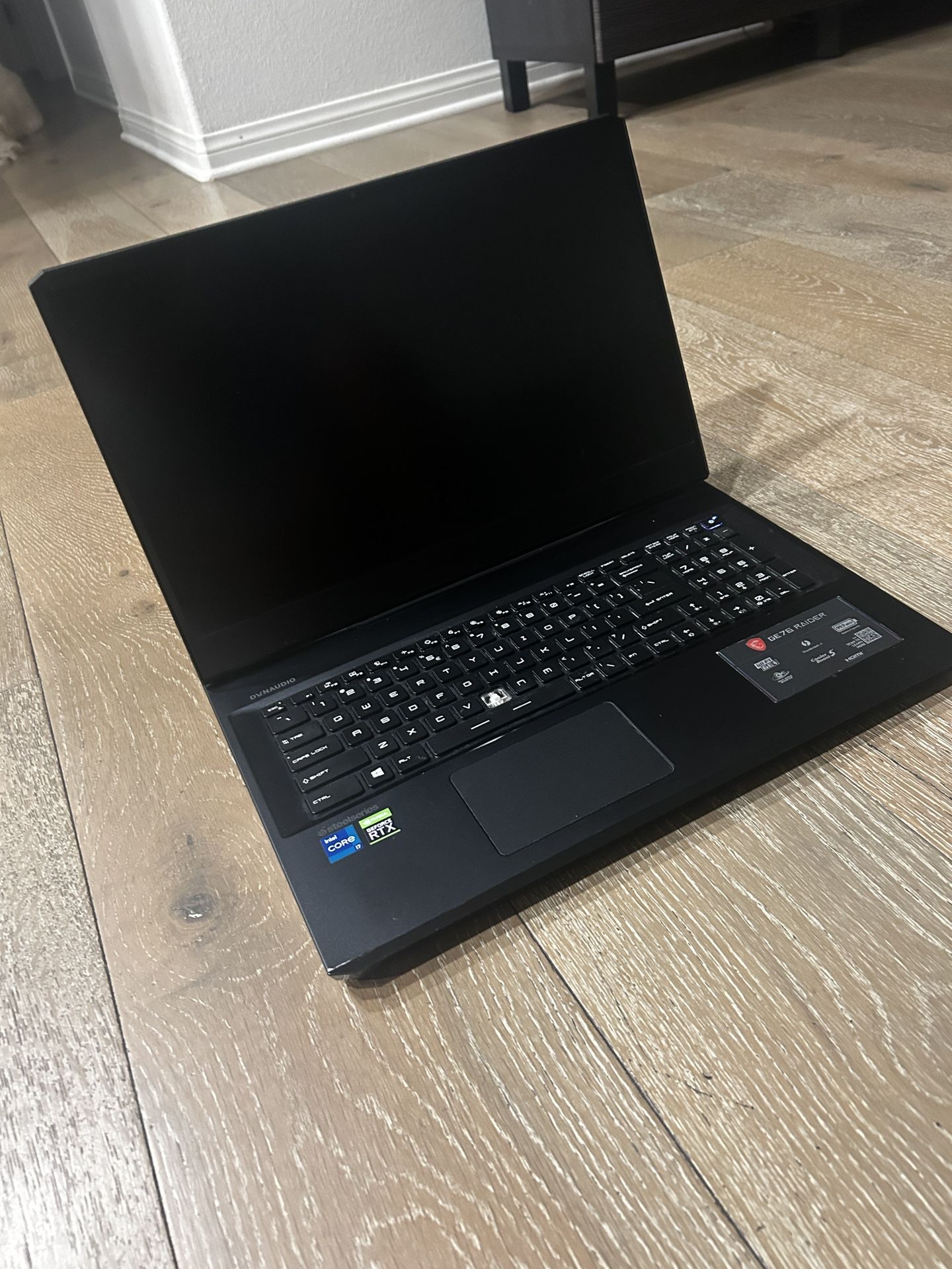 MSI GE76 Raider Laptop