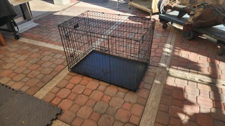 Large 36" dog crate