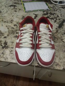 Dunk Nikes 