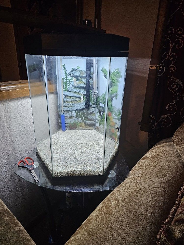 Octagon 20 Gallon Fish Tank, Only Used Once.