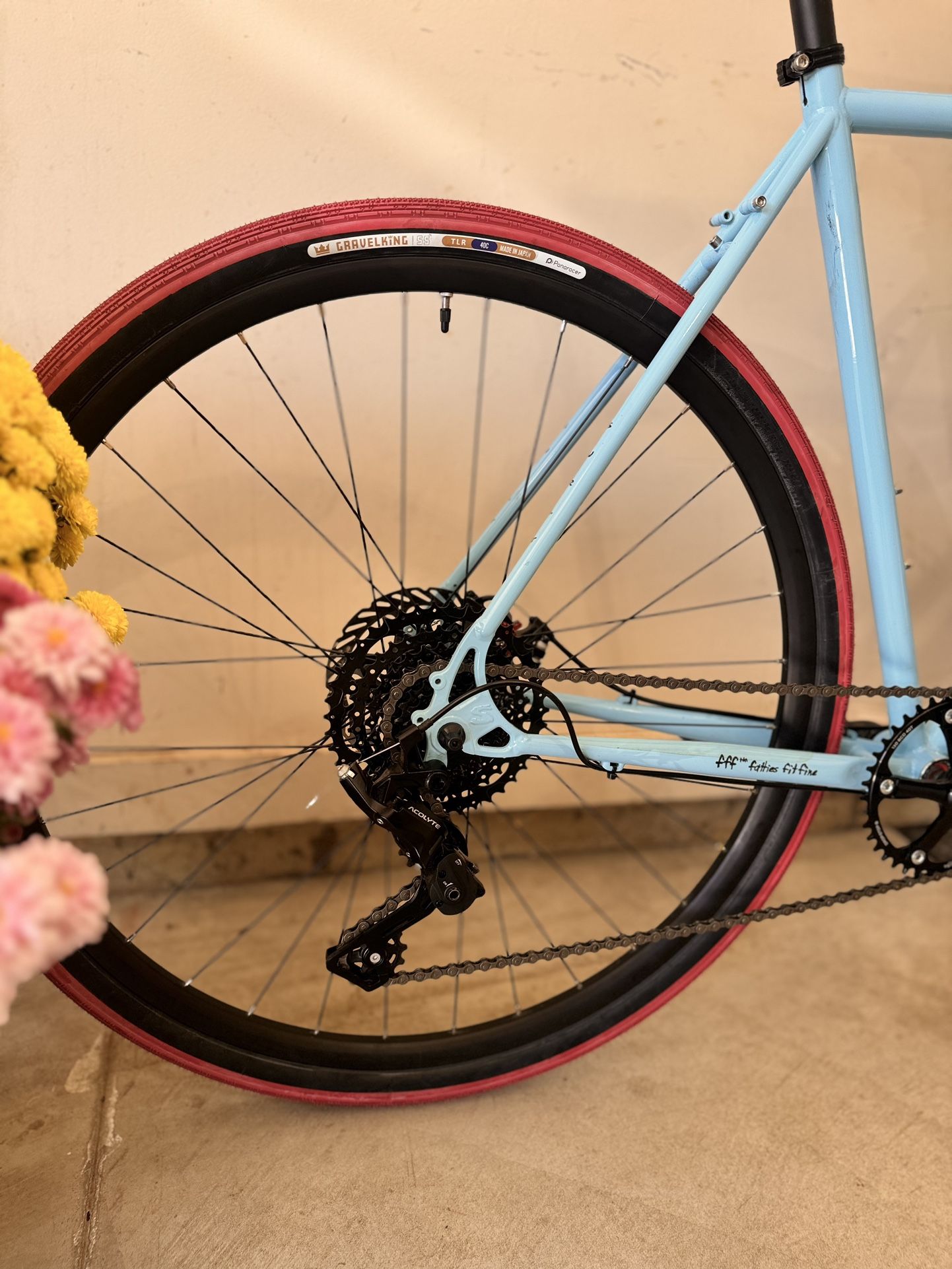 🌺 Surly Preamble🌺