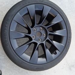 Tesla Model Y Induction Wheel