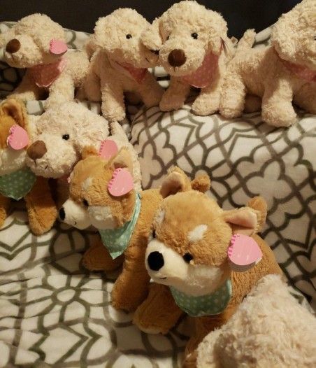Peluches ♥️ 