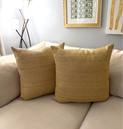 2 Pottery Barn Throw Pillows with Inserts - Large 25”x26”