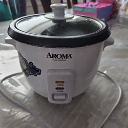 Rice Cooker
