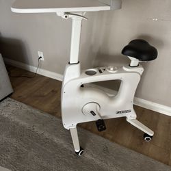 Flexispot Exercise Bike