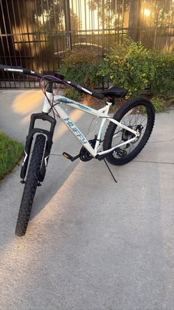 Willie bike