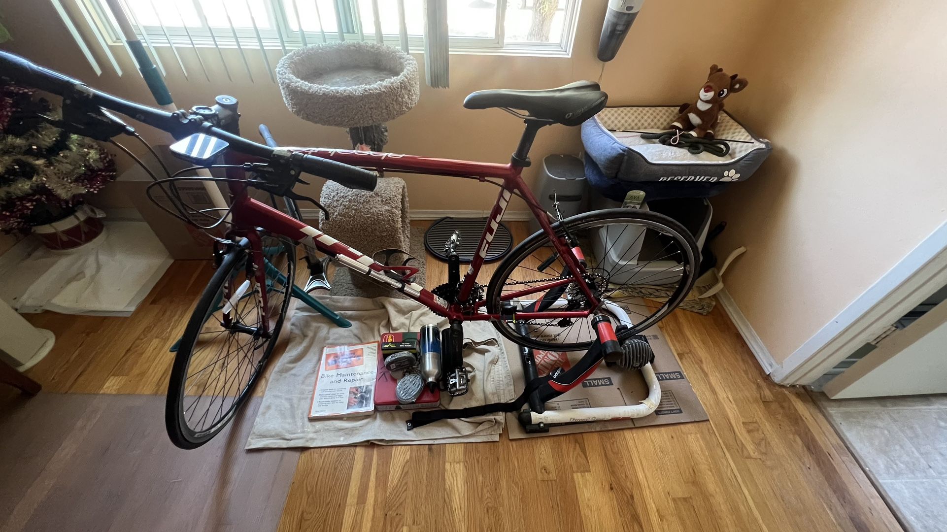 Fuji Absolute Mountain Bike