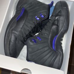 Jordan 12 dark concord 