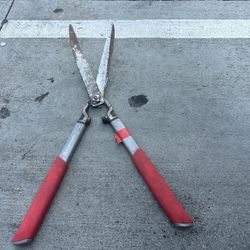 Garden Scissors