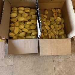 Fresh Organic Starfruit For Sale. Locally Grown (in my backyard) 