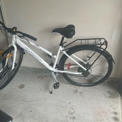 Infinity Boss Three Disc Bicycle 