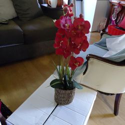 Artificial orchid plant red in color