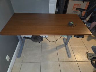 Flexispot standing table