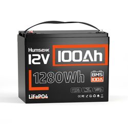 Humsienk 12V 100Ah  200 LiFePO4 Lithium Battery Built-in BMS