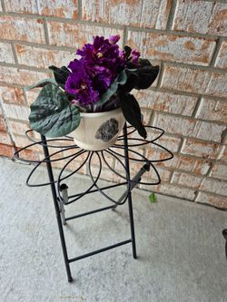 Metal Foldable  Plant Stand    H 16", W 12"