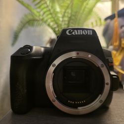 Canon Eos Rebel Sl3 