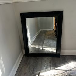 Black Framed Wall Mirror – MUST SELL TODAY! Pickup Only