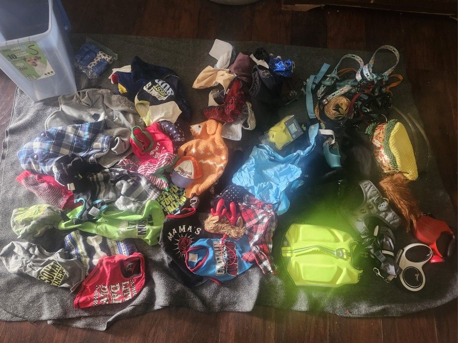 Small Size Pet Clothes