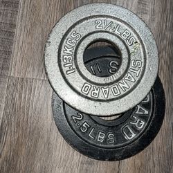 Iron Weight Plates 2.5lbs And 2/2 Lbs 