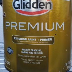 Exterior Paint + Primer