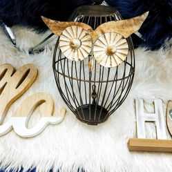 Metal Owl Home Decor