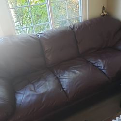Nice Leather Couch