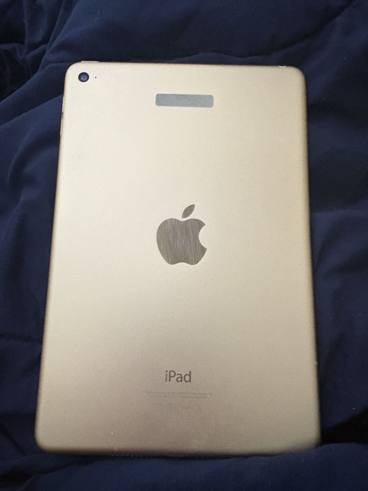 iPad Mini