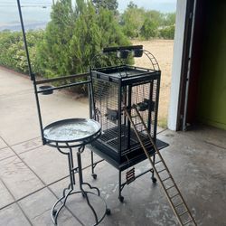Bird Items