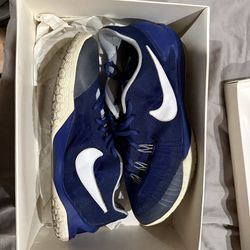 Nike Royal 10.5