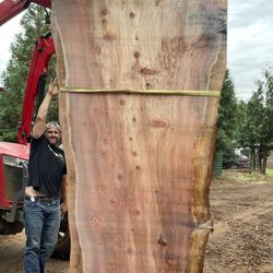 Absolutely Massive Live Edge Redwood Slab!! Free Delivery Tomorrow From Oregon 