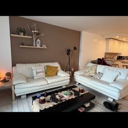 Two Natuzzi Couch Italian Leather