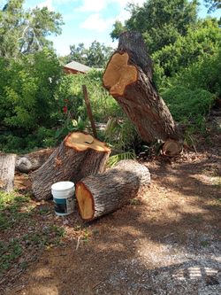 Oak Wood For Carvers FREE!!!