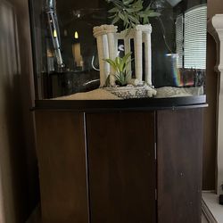 Bowed Glass Aquarium and Stand