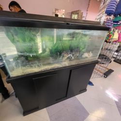 Fish Tank For Sale