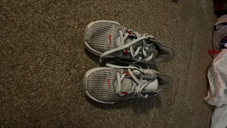 Nike LeBron Witnesses