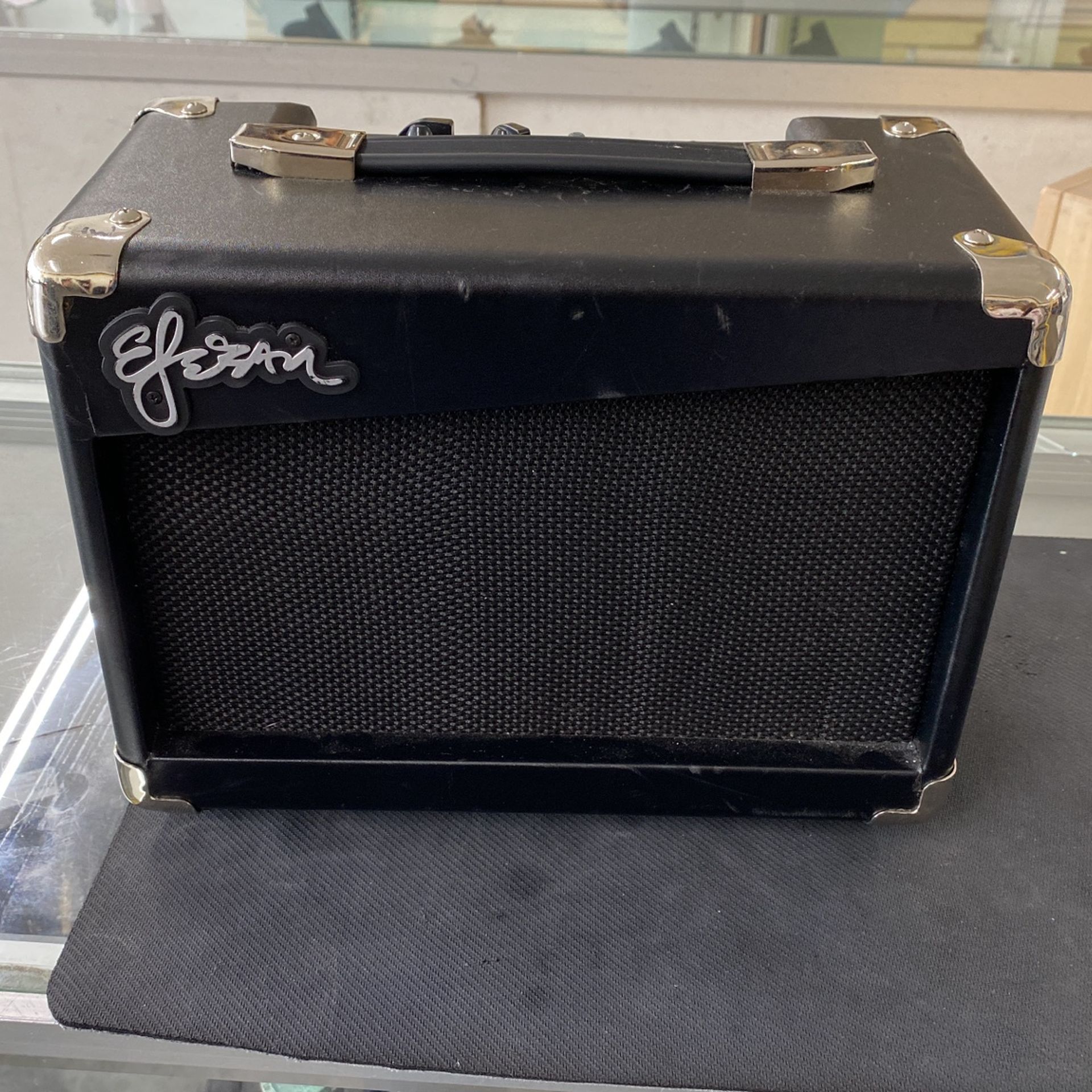 Esteban G10, Guitar Amplifier