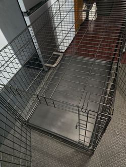 Dog crate with double door